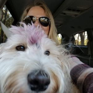 Meet your Posher, Kindl